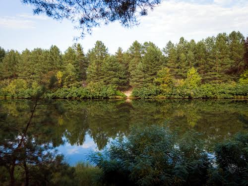 будинок за адресою с. Лебедівка, вул. Центральна