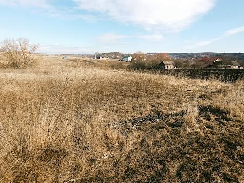 ділянка за адресою с. Іванківці, Весняна