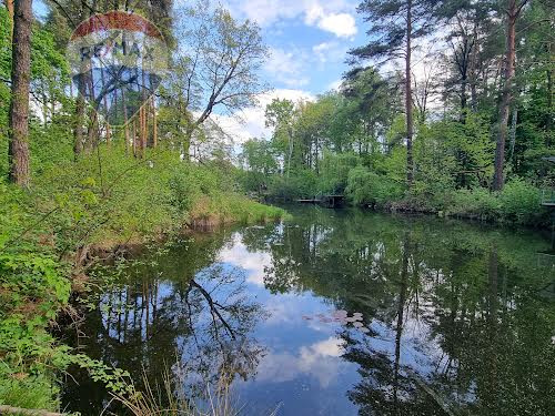 ділянка за адресою с. Лютіж, Вітряного
