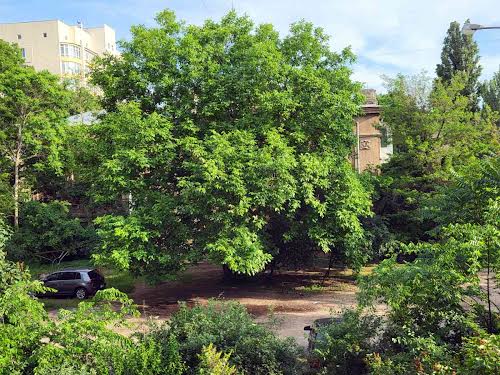 квартира за адресою Італійський бульв., 3