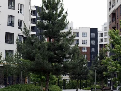 квартира по адресу Ольги Кобилянської ул. (Достоевского), 14