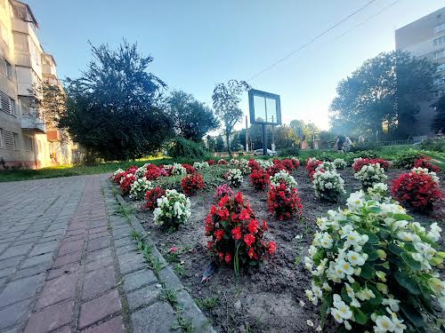 квартира по адресу Княгини Ольги ул., 61