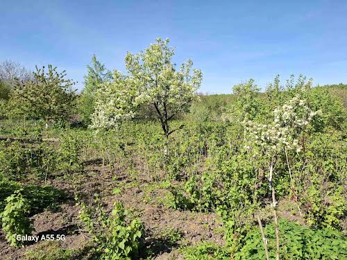 будинок за адресою Левицького