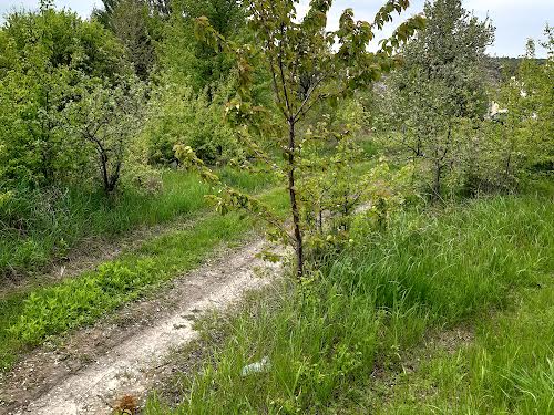 ділянка за адресою с. Іванковичі, Чубаря