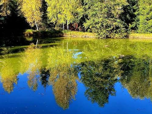 ділянка за адресою с. Здорівка, Лужайка