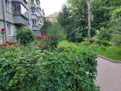 квартира по адресу Выговского ул. (Терешковой), 25