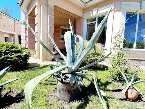 будинок за адресою вул.Грушевського