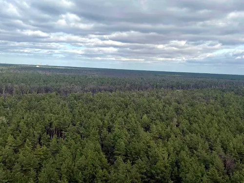 квартира за адресою Світла вул., 3
