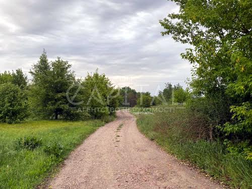 участок по адресу с. Погребы, озерна