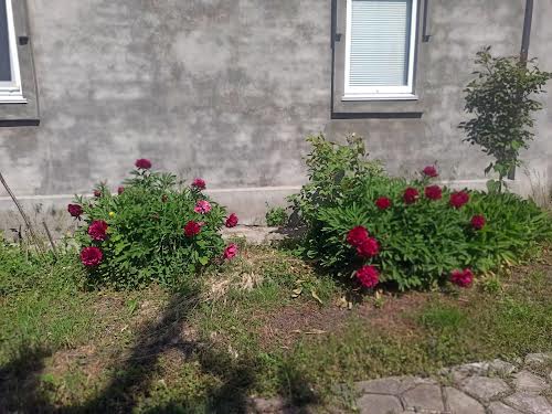дом по адресу Миру, 47