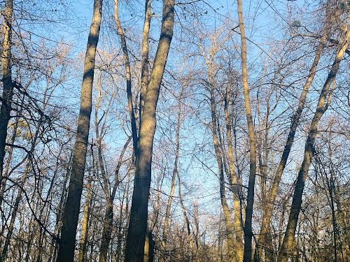 квартира по адресу Пригородная ул., 22-Б