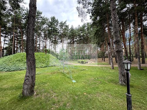 дом по адресу с. Романков, Лесная ул.