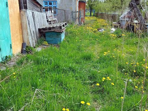 будинок за адресою квіткова, 305