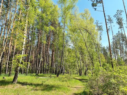 будинок за адресою с/т Івушка