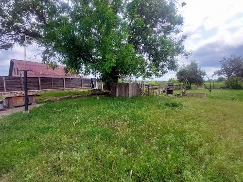 будинок за адресою Різдвяна, 28