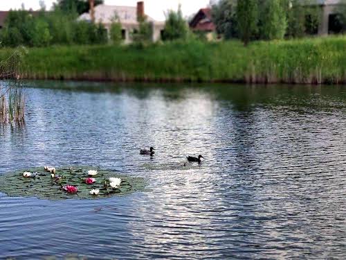 будинок за адресою Дмитра Вишневецького, 21