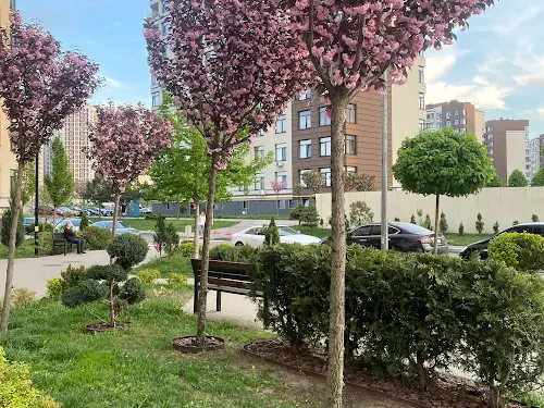 квартира за адресою Юнацька вул., 19