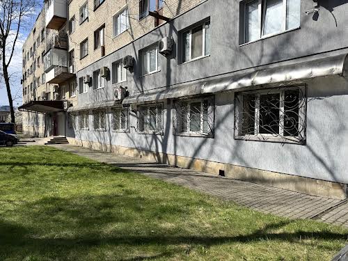 комерційна за адресою Володимира Великого вул. (), 29