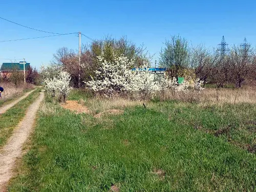 ділянка за адресою Сільська