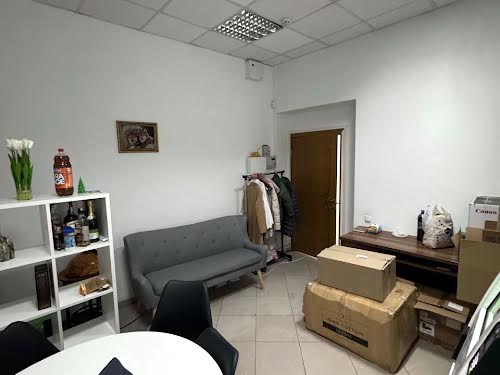 комерційна за адресою Пантелеймона Куліша вул., 24
