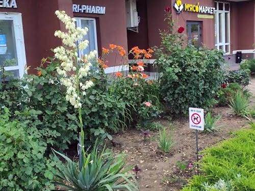 квартира по адресу Полевая ул., 73