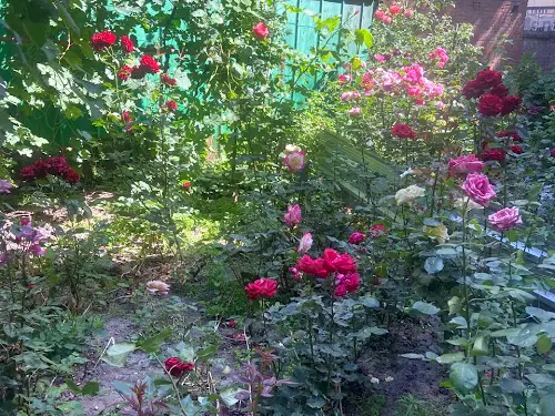 квартира по адресу Остапа Вишни ул., 54