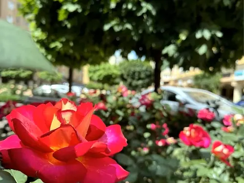 квартира за адресою Братська вул., 24