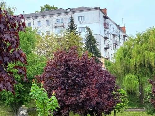 квартира за адресою Старий Ринок вул. (Матросова), 3