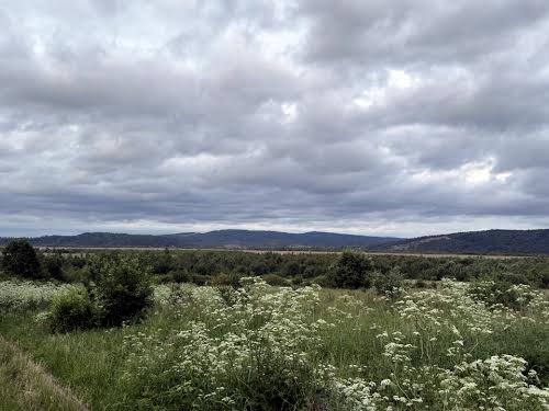 ділянка за адресою Січових Стрільців