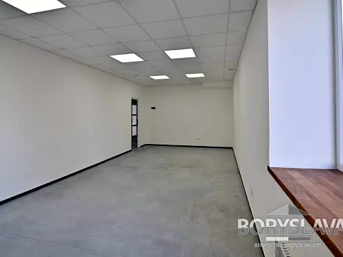 комерційна за адресою Соборна вул., 364в