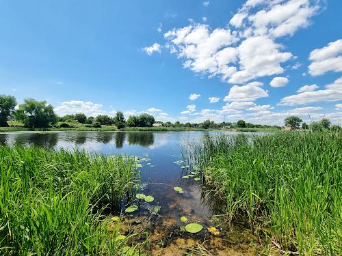 участок по адресу с. Глебовка, Лесі Українки, 1