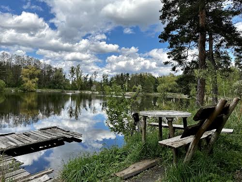 будинок за адресою с. Лісне, Виноградна