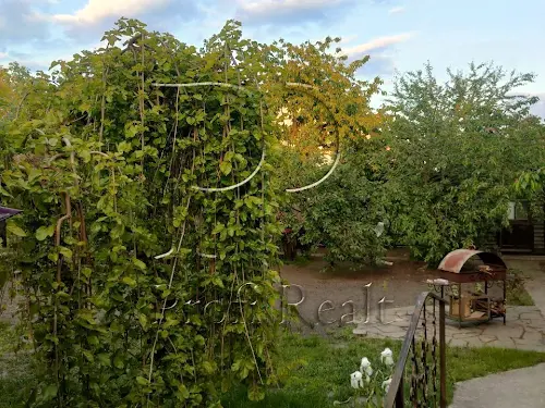дом по адресу Зоряна вулиця