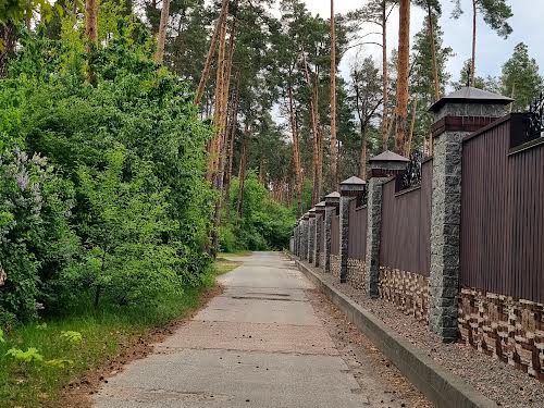 ділянка за адресою с. Лютіж, Вітряного