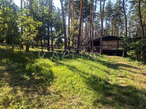 участок по адресу центральна