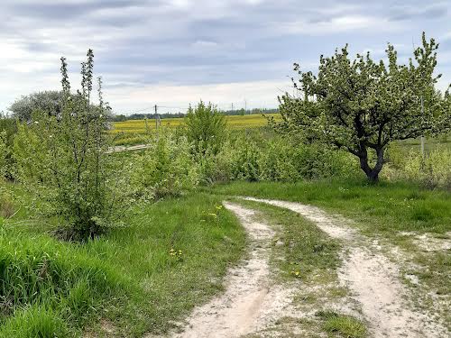 ділянка за адресою с. Іванковичі, Чубаря