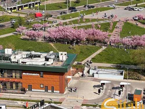 квартира за адресою Червоної Калини просп., 56а