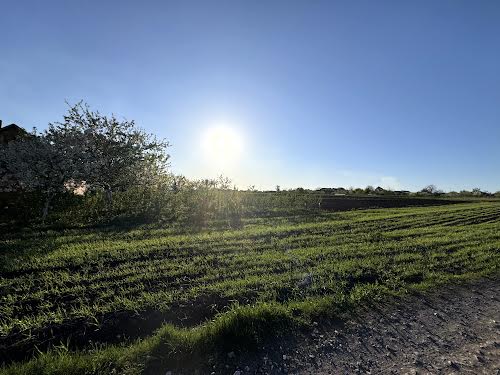 ділянка за адресою Шкільна