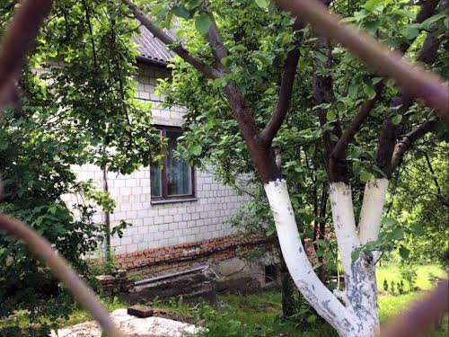 дом по адресу с. Бережаны, Шашкевича, 15
