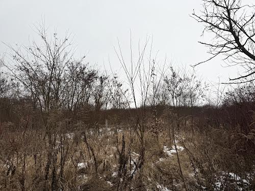 участок по адресу Озёрная ул., 88