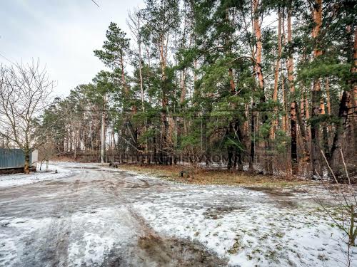 дом по адресу с. Белогородка, Пролесковая ул.