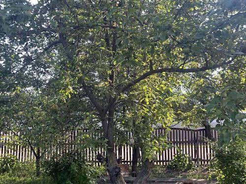 дом по адресу пгт. Шрамковка, Незалежності, 1