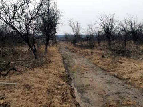 участок по адресу Зоряна