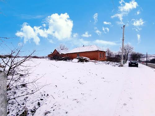 участок по адресу Каменецкая ул., 269