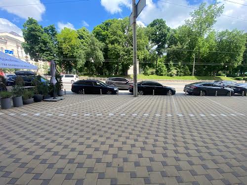 комерційна за адресою Гетьмана Павла Скоропадського вул. (Льва Толстого), 11/61
