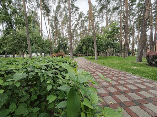 квартира за адресою Полтавська вул., 64