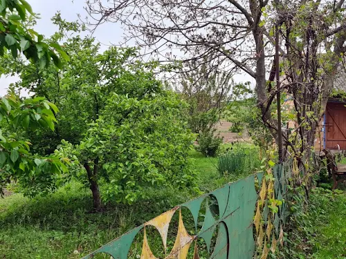 дом по адресу с. Рясники, Горбаківська