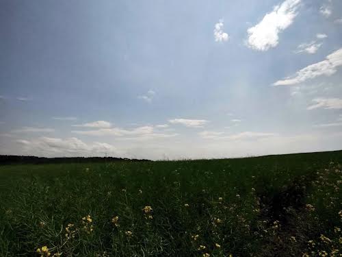 ділянка за адресою с. Солонка, алгоритмічна