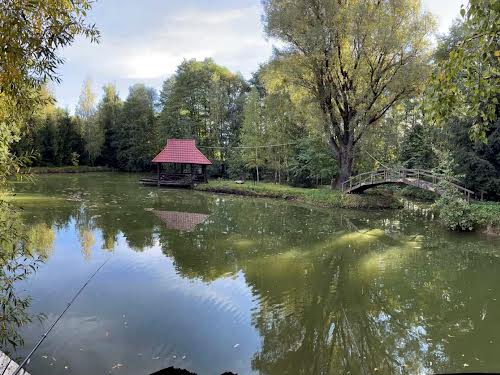 будинок за адресою с. Здорівка, Лужайка