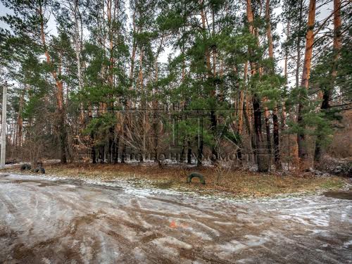 будинок за адресою с. Білогородка, Світанкова